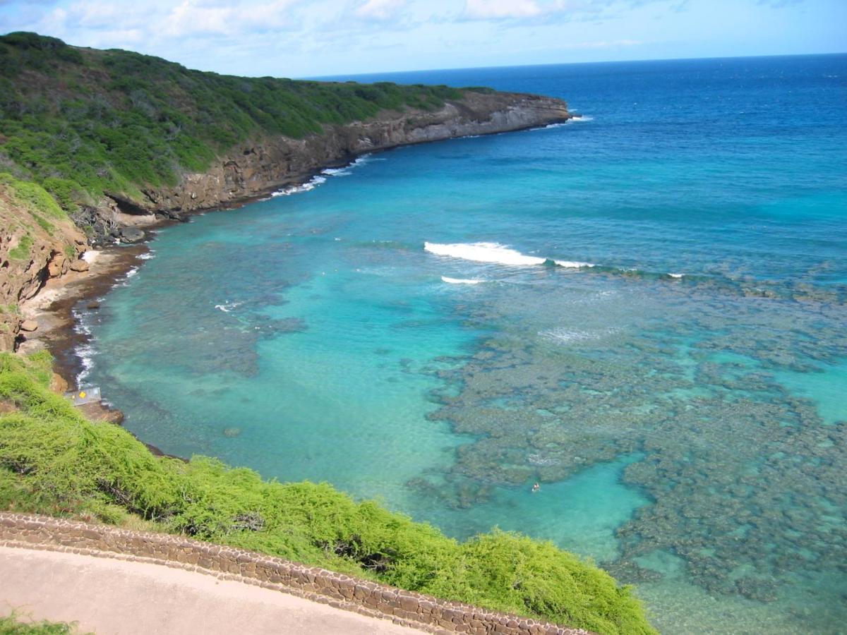 Free Parking, Pool, Sauna, Spa, Wifi, Bbq, Ac - Waikiki Banyan Гонолулу Экстерьер фото