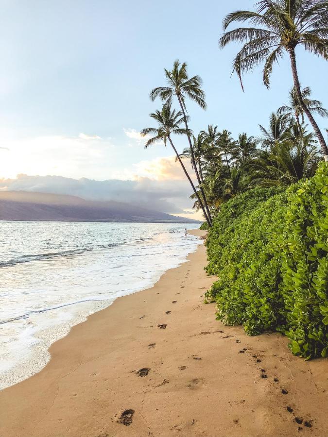 Free Parking, Pool, Sauna, Spa, Wifi, Bbq, Ac - Waikiki Banyan Гонолулу Экстерьер фото